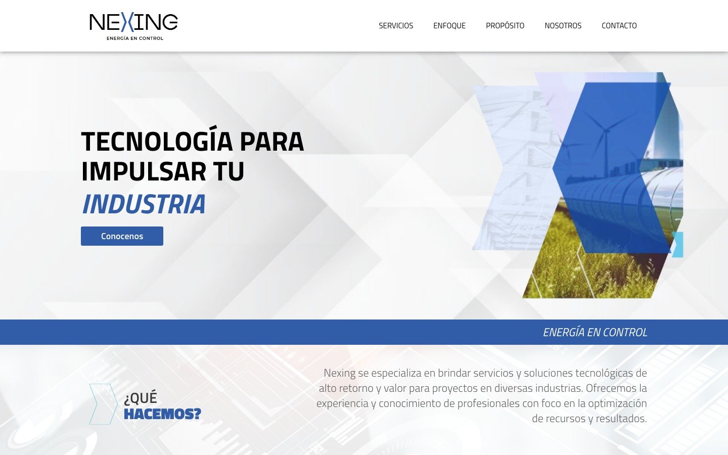Sitio web Nexing — nexing.com.ar, desarrollo WordPress por MSA Projects
